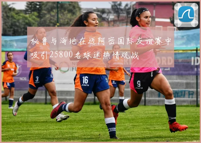 秘鲁与海地在迈阿密国际友谊赛中吸引25800名球迷热情观战