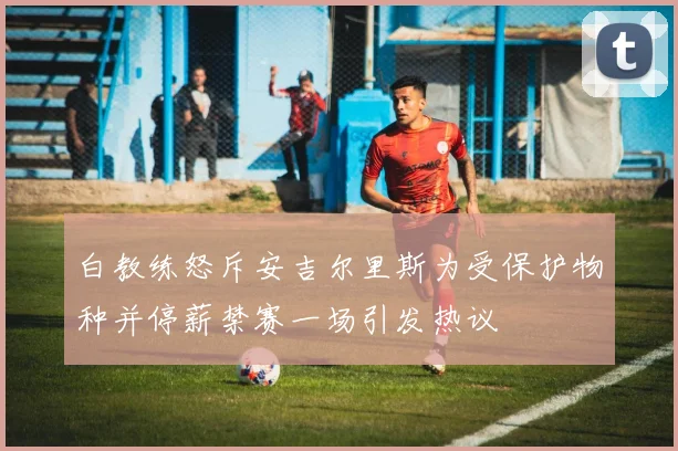 白教练怒斥安吉尔里斯为受保护物种并停薪禁赛一场引发热议