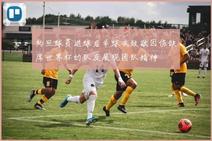 约旦球员进球后举球衣致敬因伤缺席世界杯的队友展现团队精神