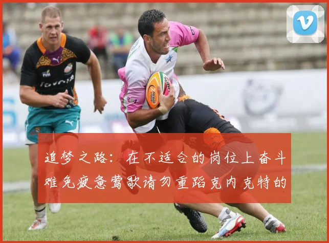 追梦之路：在不适合的岗位上奋斗难免疲惫莺歌请勿重蹈克内克特的覆辙