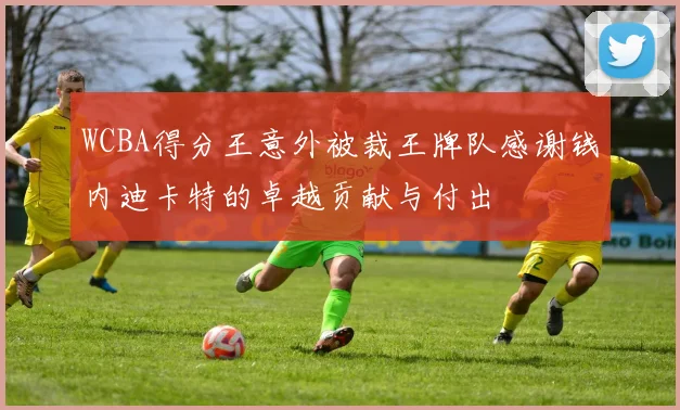 WCBA得分王意外被裁王牌队感谢钱内迪卡特的卓越贡献与付出